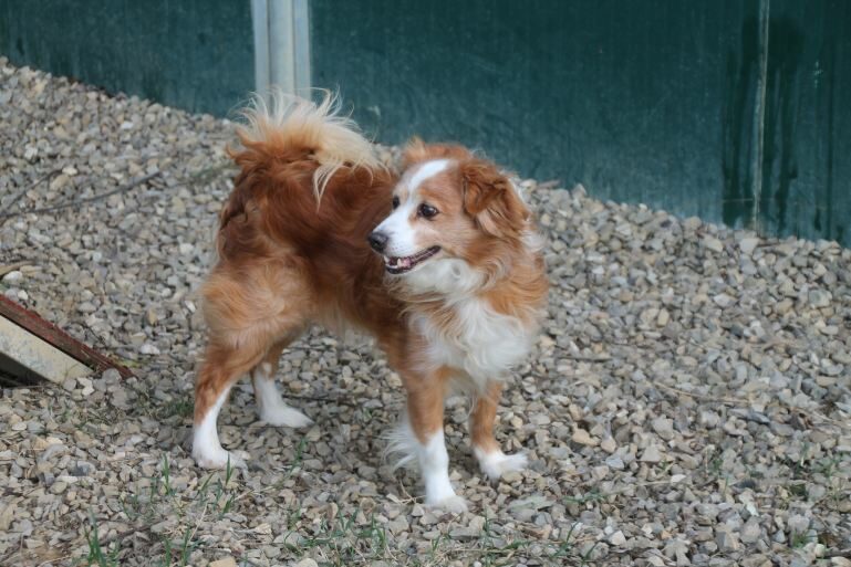 Rudy
