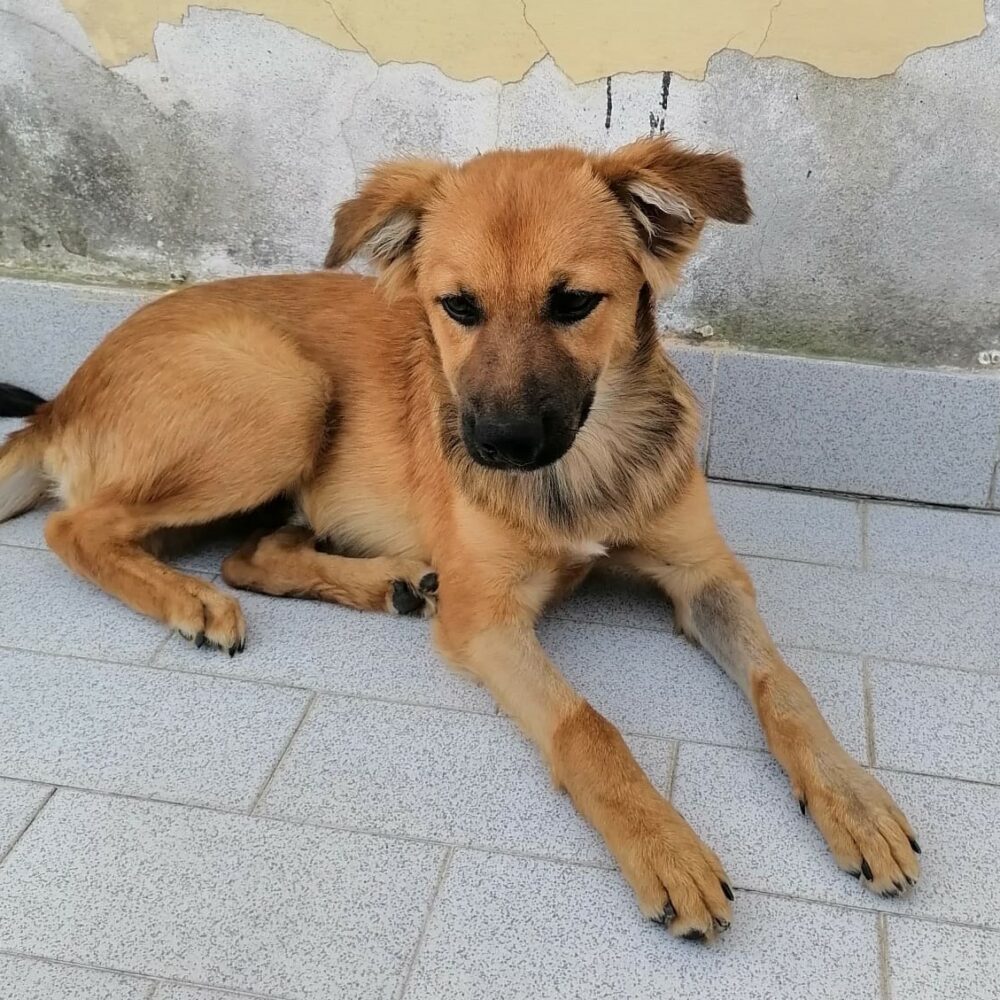 Oskar