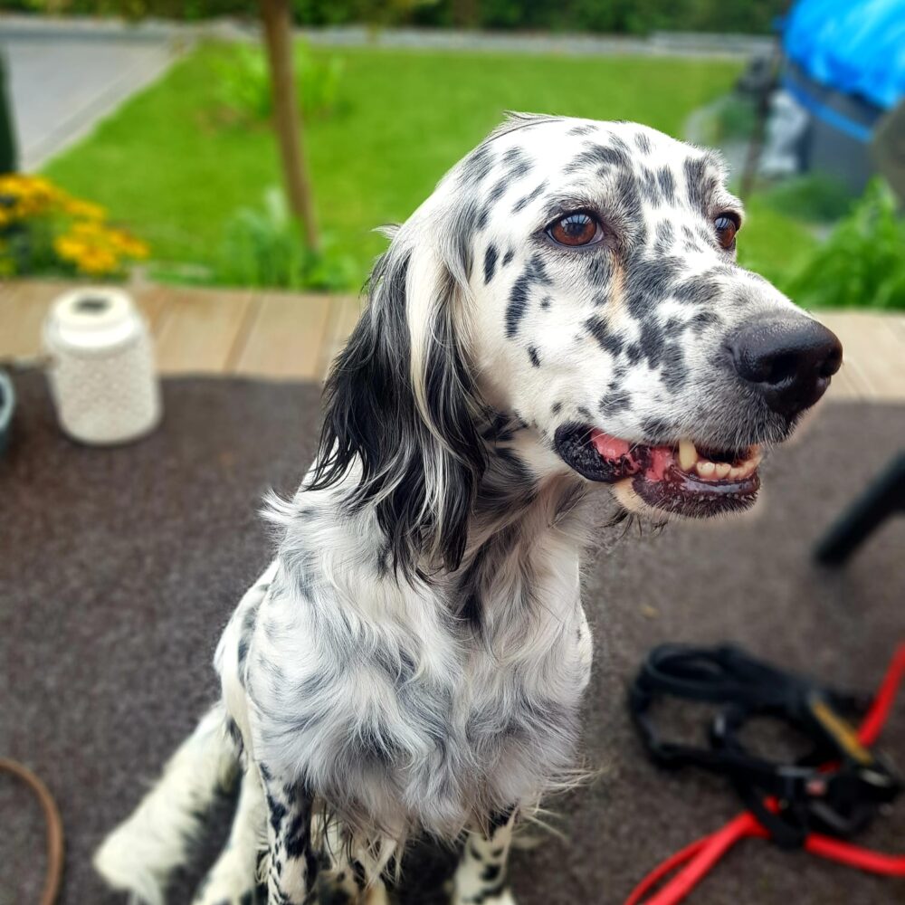 Lena