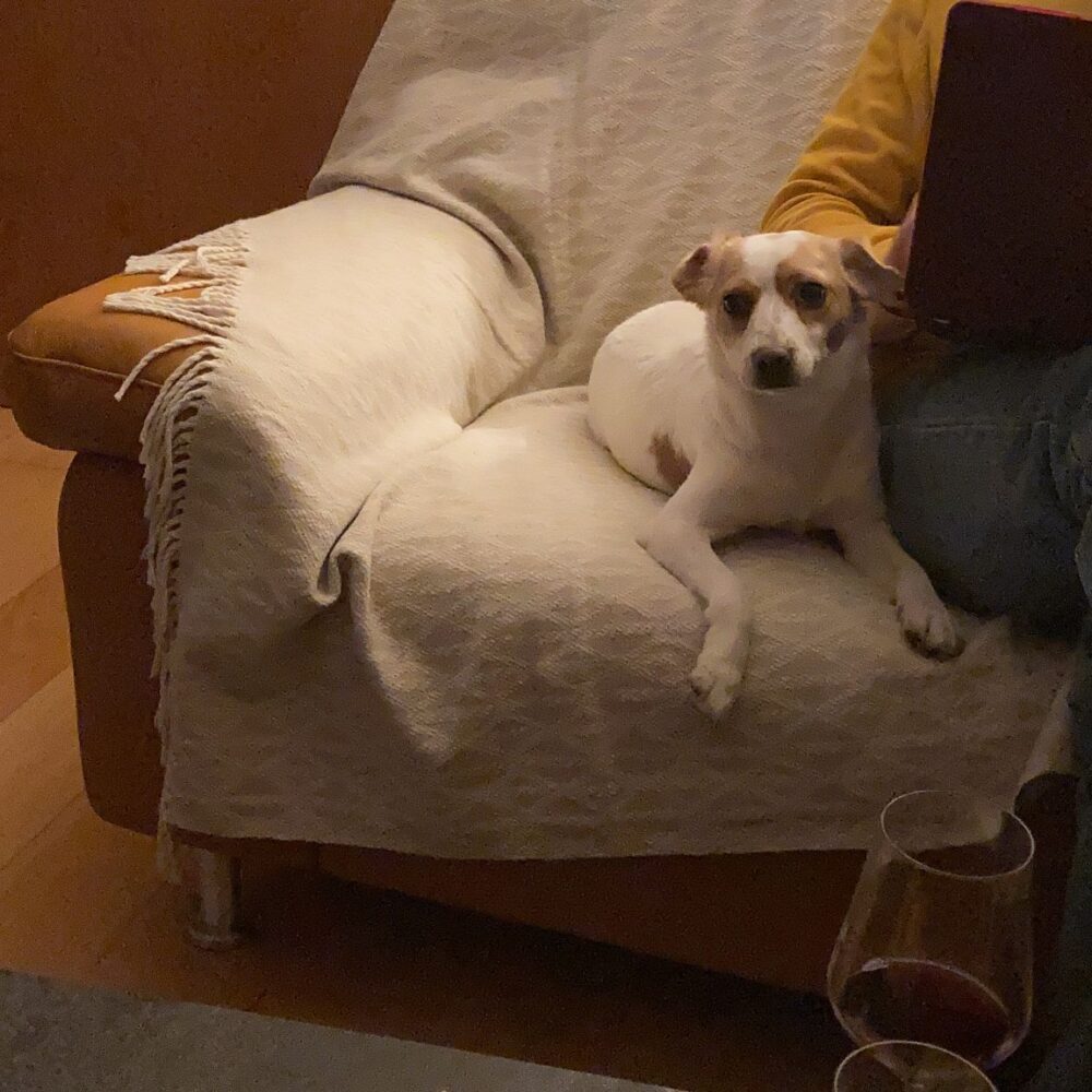 Kira (jetzt Toffee)