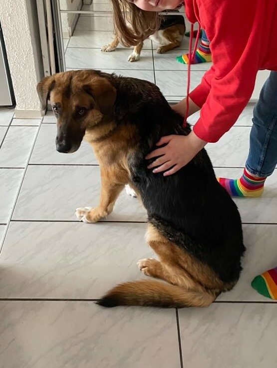 Lila