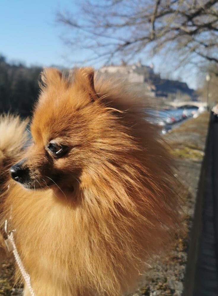 Charlie