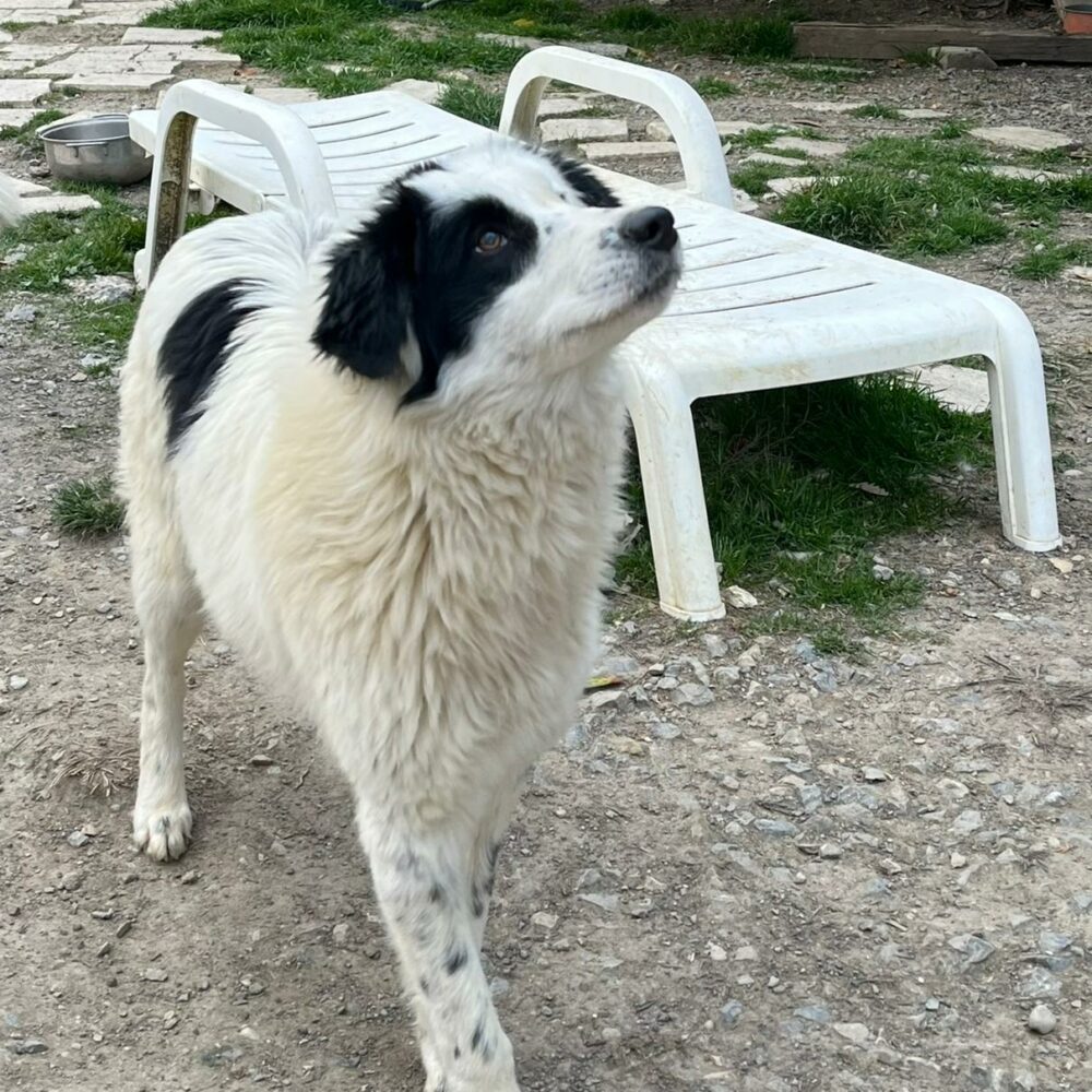 Barbara