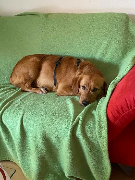 Matteo