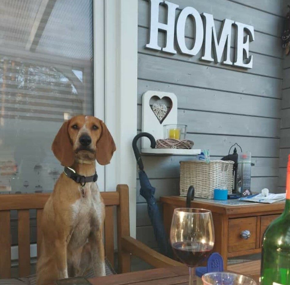Bert