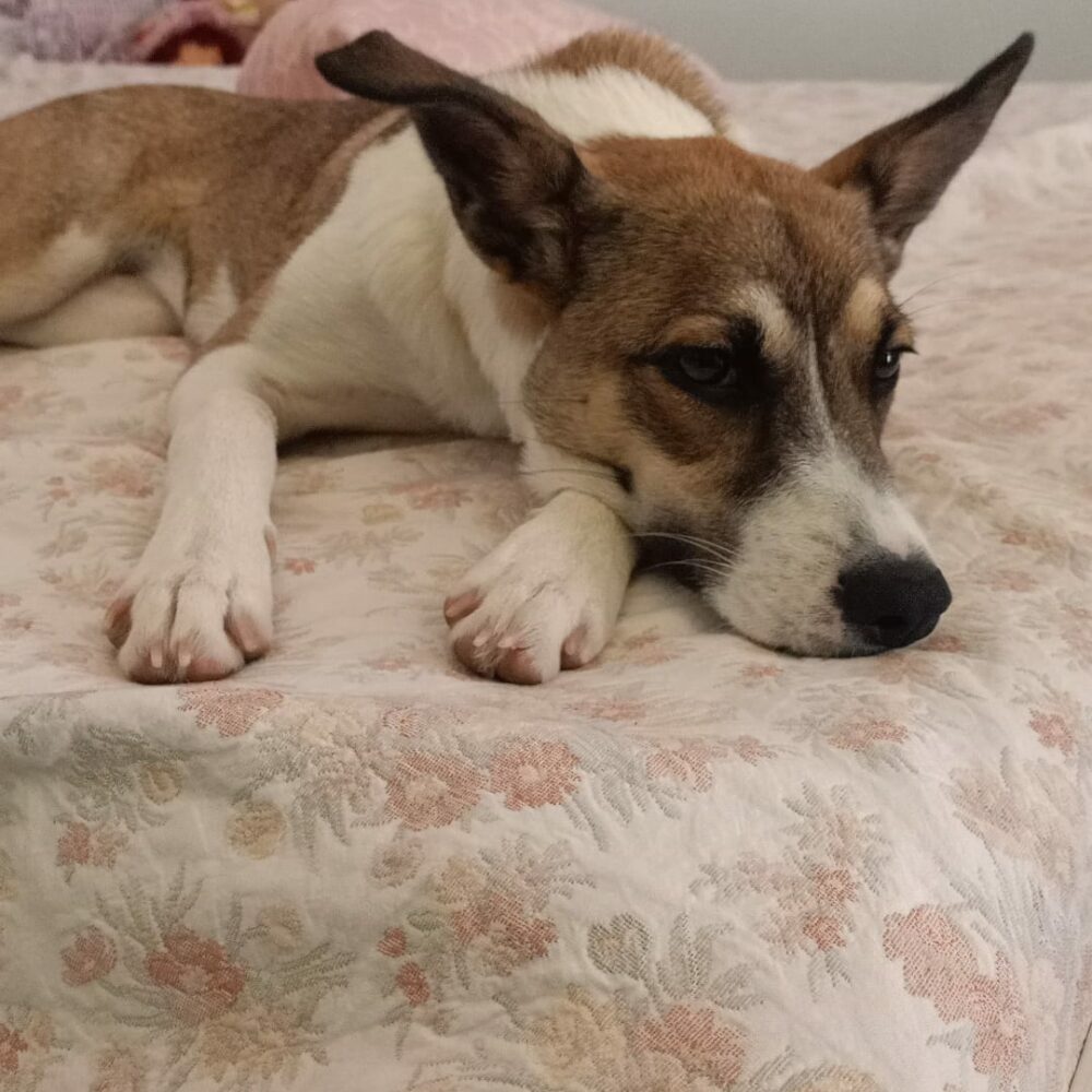 Mia